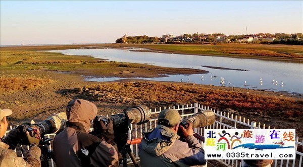 517dujia商旅平臺(tái)