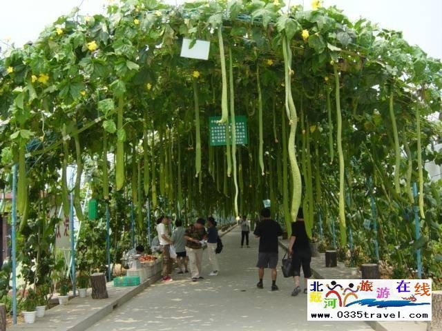 北戴河集發(fā)生態(tài)觀光園