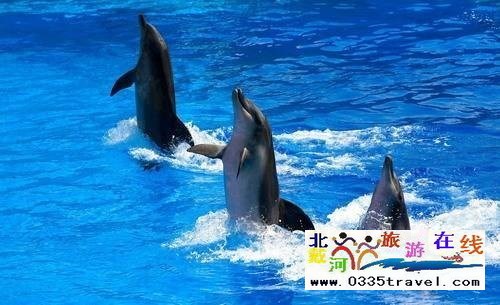 山海關(guān)樂(lè)島海洋公園