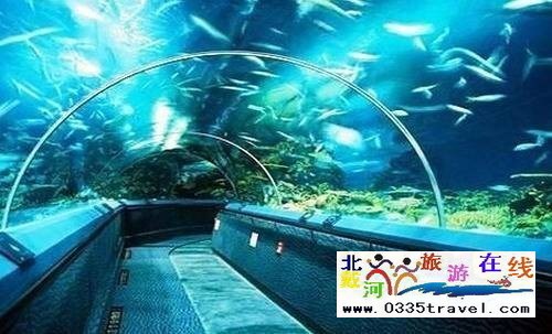 山海關(guān)樂(lè)島海洋公園