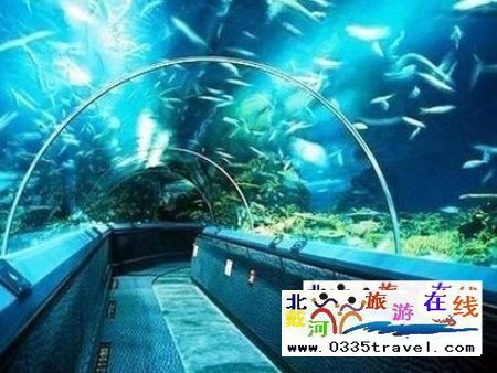 山海關(guān)樂(lè)島海洋公園