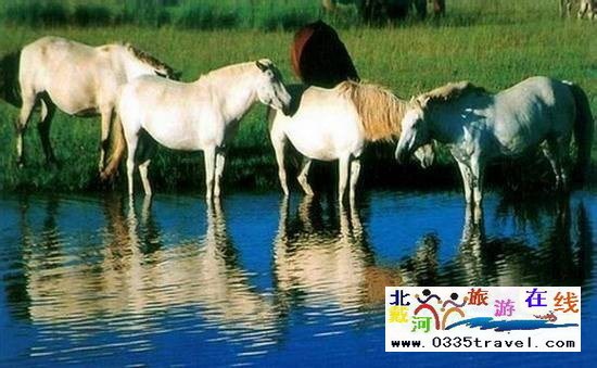 秦皇島野生動(dòng)物園