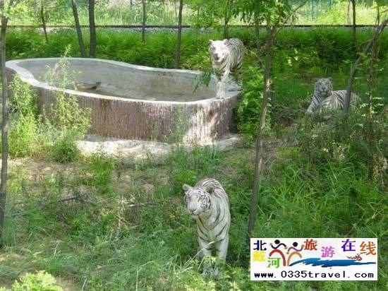 秦皇島野生動(dòng)物園