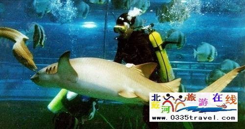 秦皇島新澳海底世界