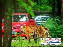秦皇島野生動物園景點門票優(yōu)惠88元起團，一人也成團，團隊更優(yōu)惠，咨詢電話0335-3522599: