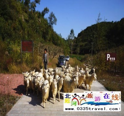 東戴河小河口長城門票
