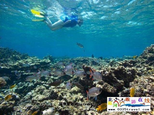 圣藍(lán)皇家海洋公園