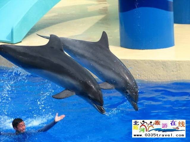 北戴河圣藍(lán)皇家海洋公園