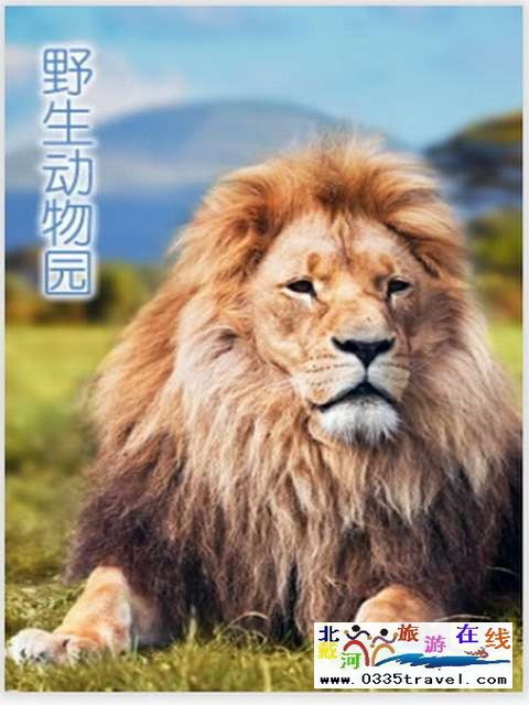 秦皇島一卡通旅游年票優(yōu)惠辦理電話0335-3522588 3522599 13191824199