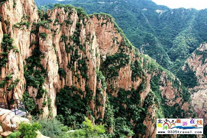 秦皇島龍?jiān)乒龋∩叫闼┚皡^(qū)電話18633570222  15703350808