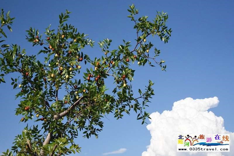 秦皇島盧龍棋盤(pán)山景區(qū)電話0335-3522588