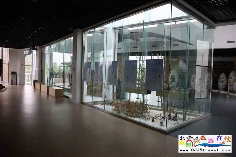 秦皇島北戴河鳥類博物館