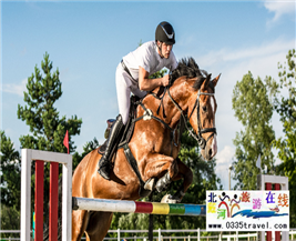 [秦皇島] 秦皇島北戴河超硬核馬術(shù)俱樂部集錦——兒童馬術(shù)課程：英倫國際馬術(shù)俱樂部、仁軒馬術(shù)俱樂部、阿那亞馬會