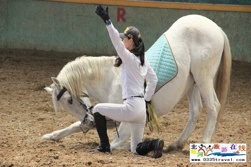 北戴河英倫國(guó)際馬術(shù)俱樂(lè)部酒店