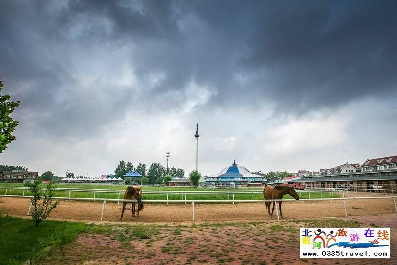 北戴河英倫國際馬術(shù)俱樂部酒店
