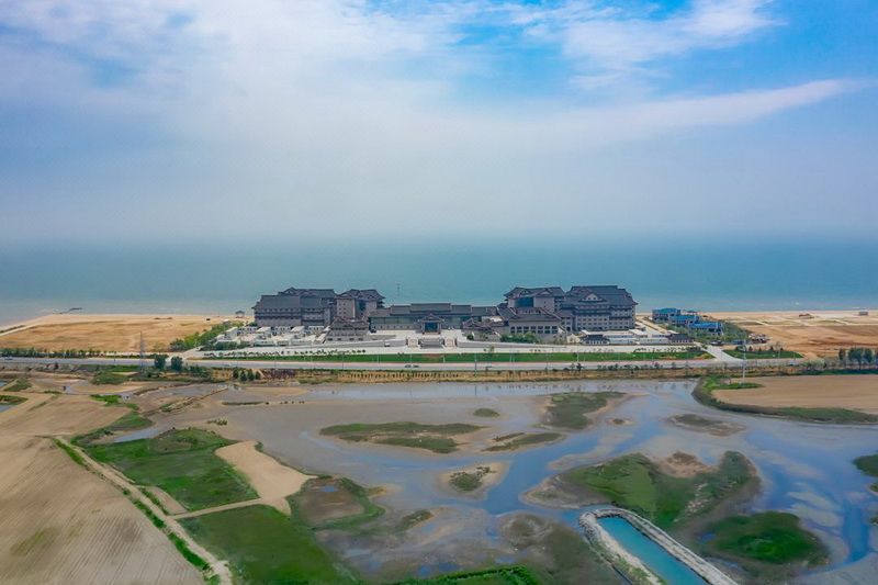 東戴河帝景海親海集裝箱酒店