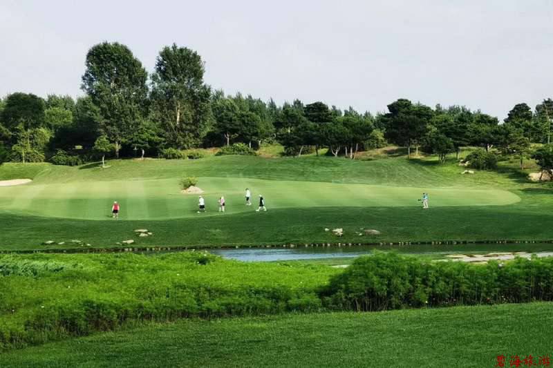 北戴河松石高爾夫/保利國(guó)際高爾夫/榮盛森林高爾夫俱樂(lè)部球場(chǎng)聯(lián)合優(yōu)惠預(yù)訂18633570222  15703350808