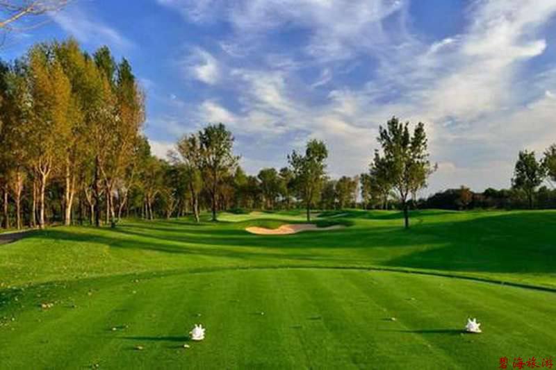 北戴河松石高爾夫/保利國(guó)際高爾夫/榮盛森林高爾夫俱樂(lè)部球場(chǎng)聯(lián)合優(yōu)惠預(yù)訂18633570222  15703350808