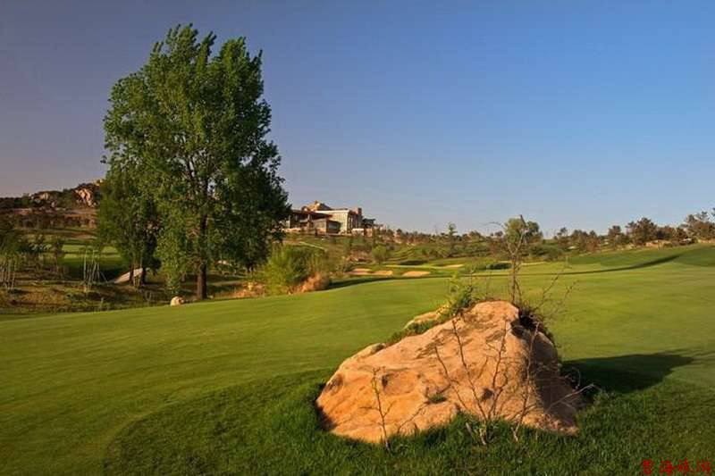 北戴河松石高爾夫/保利國(guó)際高爾夫/榮盛森林高爾夫俱樂(lè)部球場(chǎng)聯(lián)合優(yōu)惠預(yù)訂18633570222  15703350808